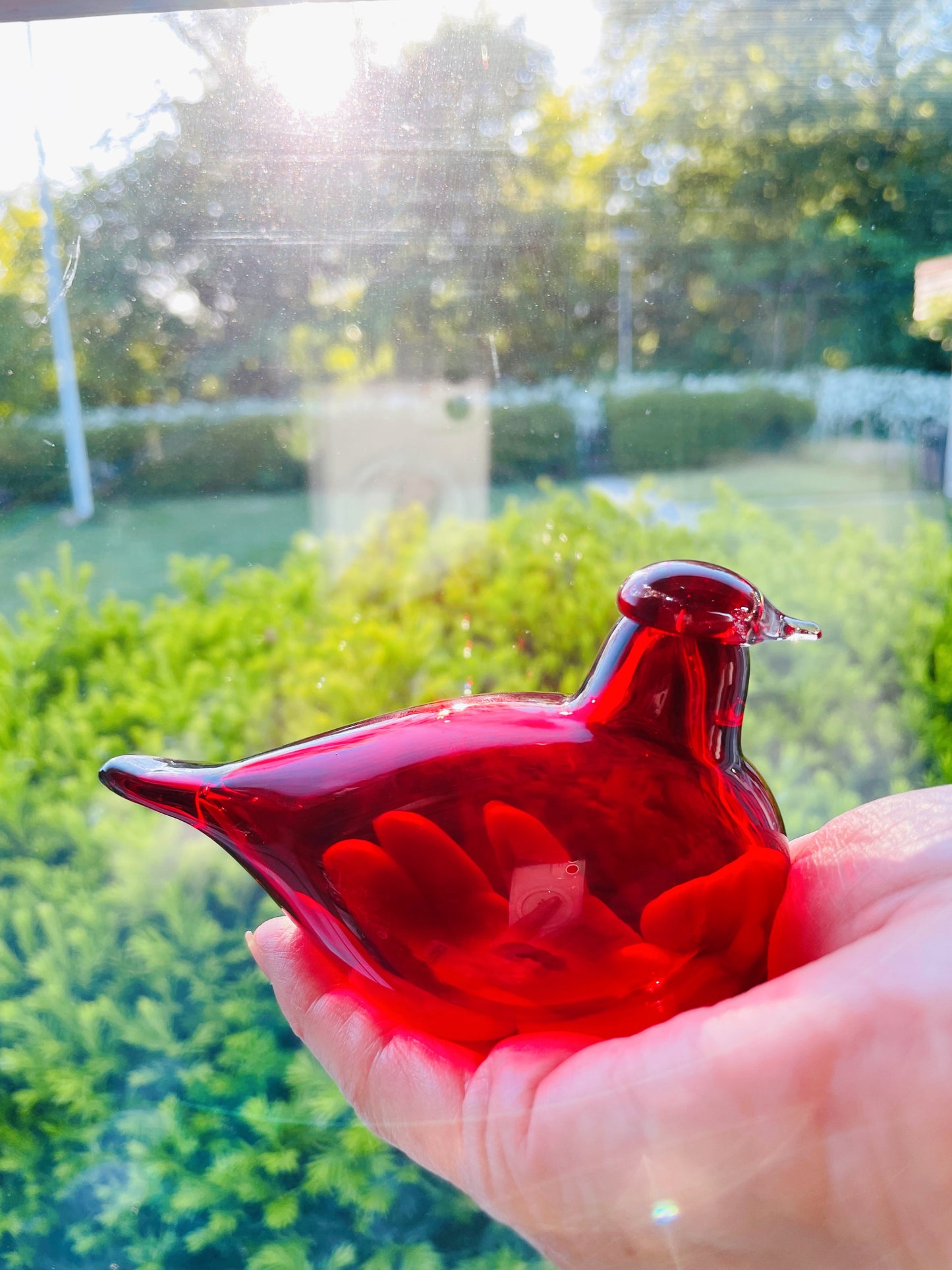 iittala/イッタラ/Nuutajälvi/ヌータヤルヴィ/Oiva Toikka/オイバ.トイッカ/Birds/バード/Little Turn/リトルターン/レッド