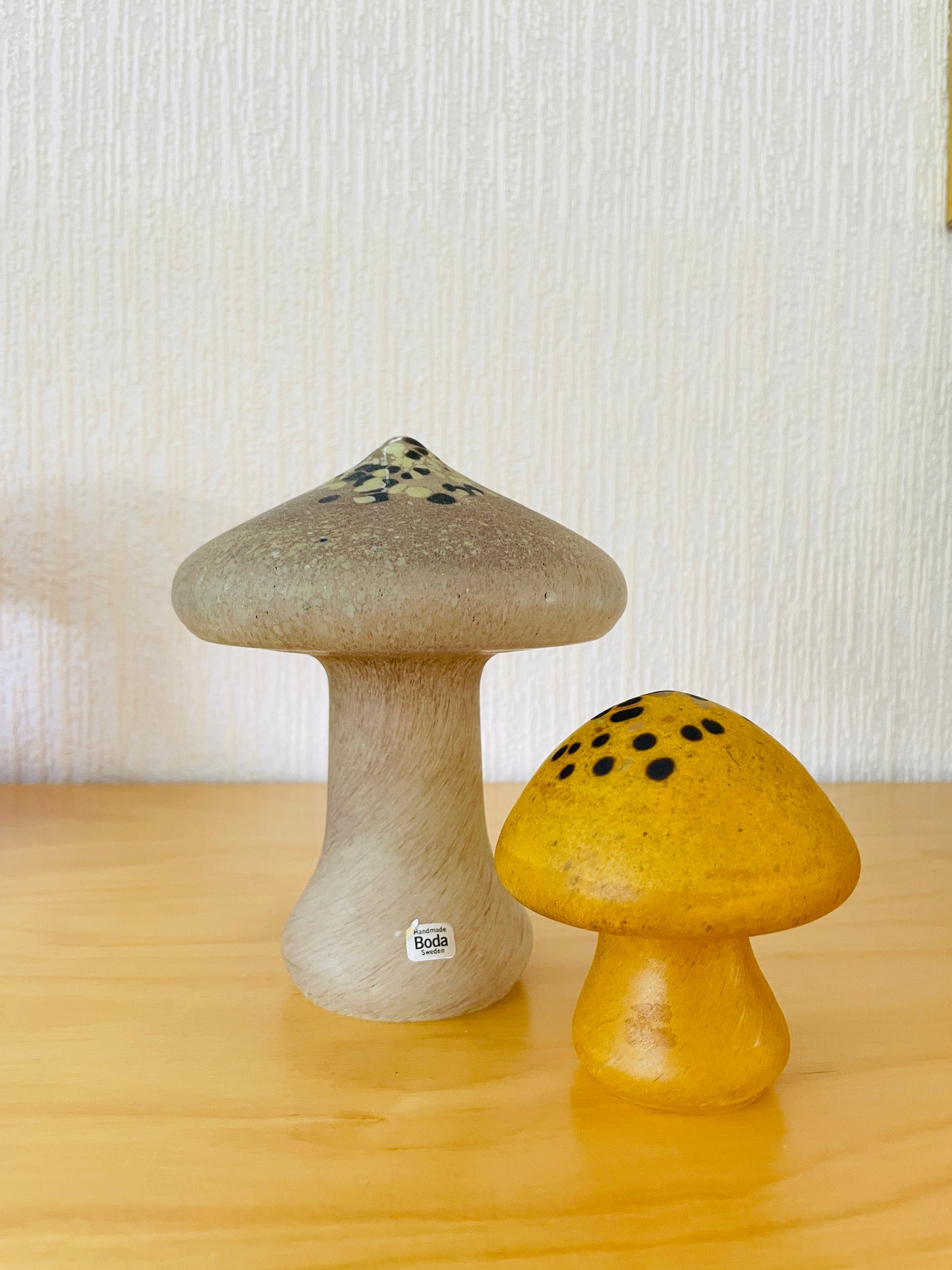 Boda/Monica Backström/Tofsskivling/センボニチメガサ