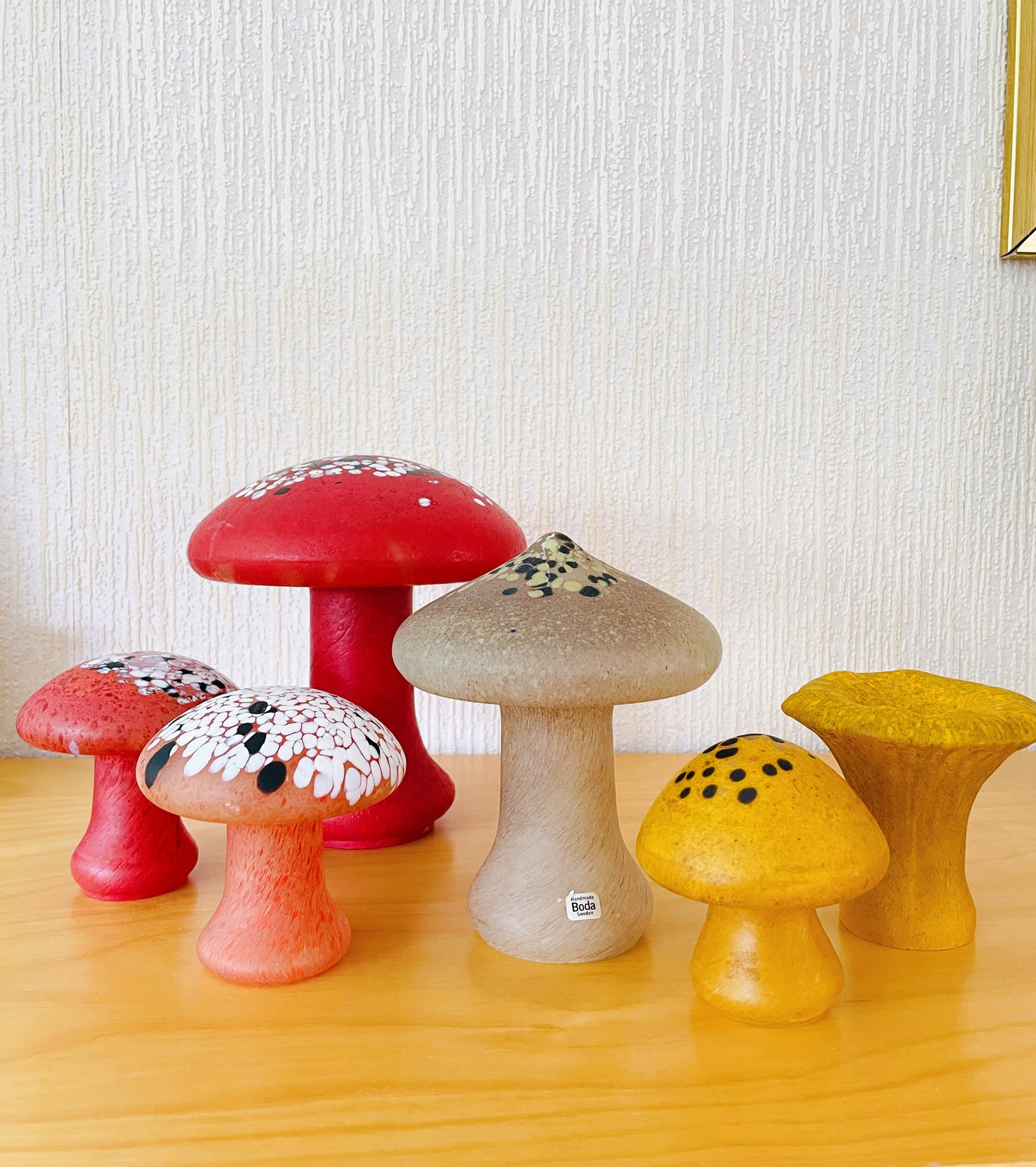 Boda/Monica Backström/Tofsskivling/センボニチメガサ