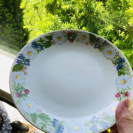 Rörstrand/ロールストランド/Midsommar/ミッドサマー/プレート/17,5cm