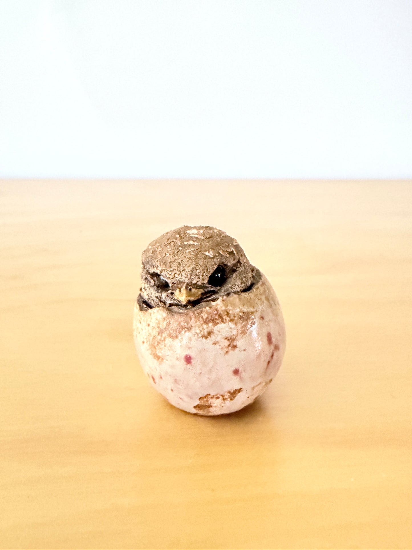 Hannes Johansson / Atelier / Birth of Chicks