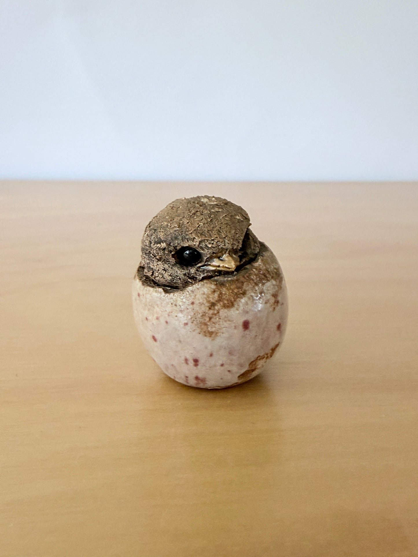 Hannes Johansson / Atelier / Birth of Chicks