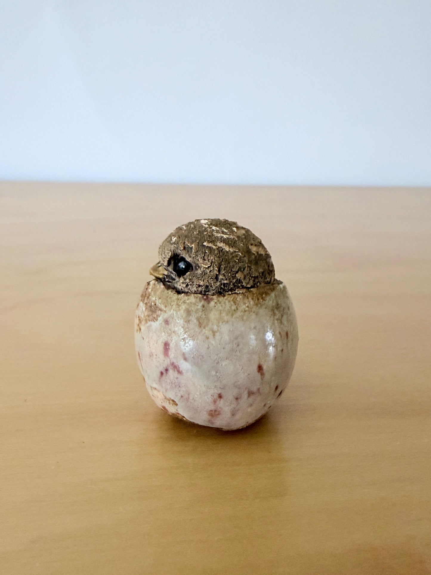 Hannes Johansson / Atelier / Birth of Chicks