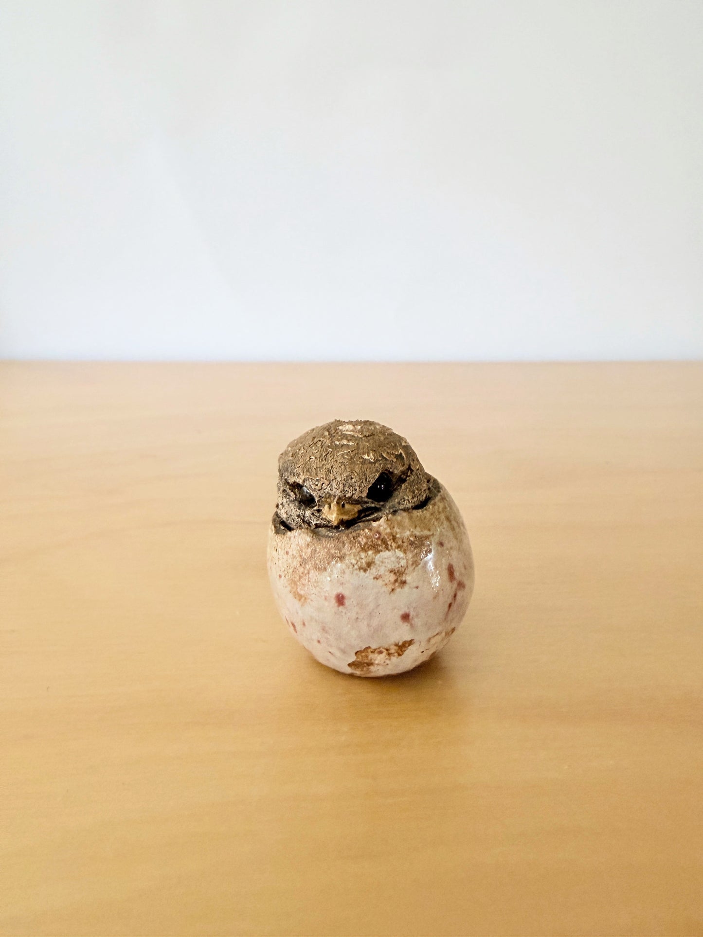 Hannes Johansson / Atelier / Birth of Chicks