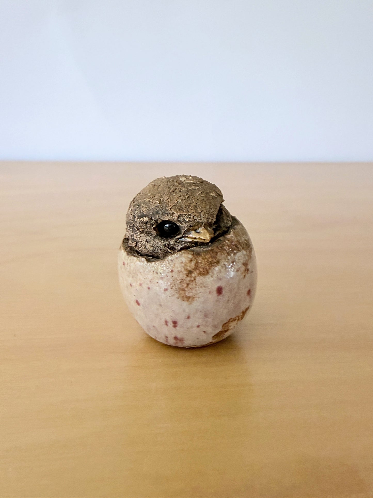 Hannes Johansson / Atelier / Birth of Chicks