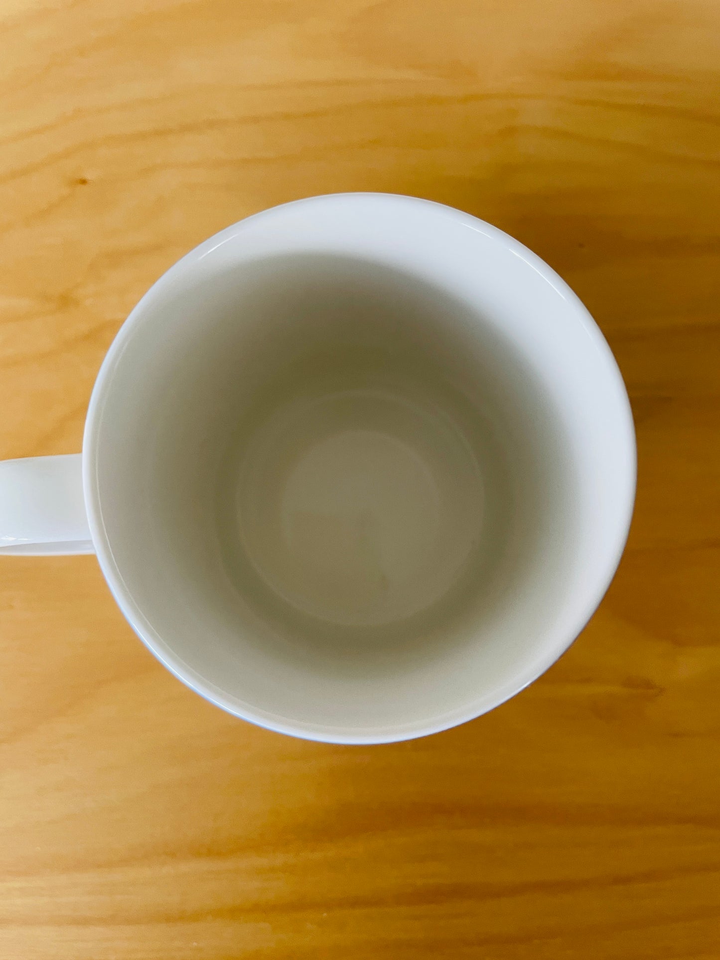 Arabia/アラビアMoomin Mug/ムーミンマグカップSpecial Produkt/Håll Vatten ren/海を綺麗にしようキャンペーン