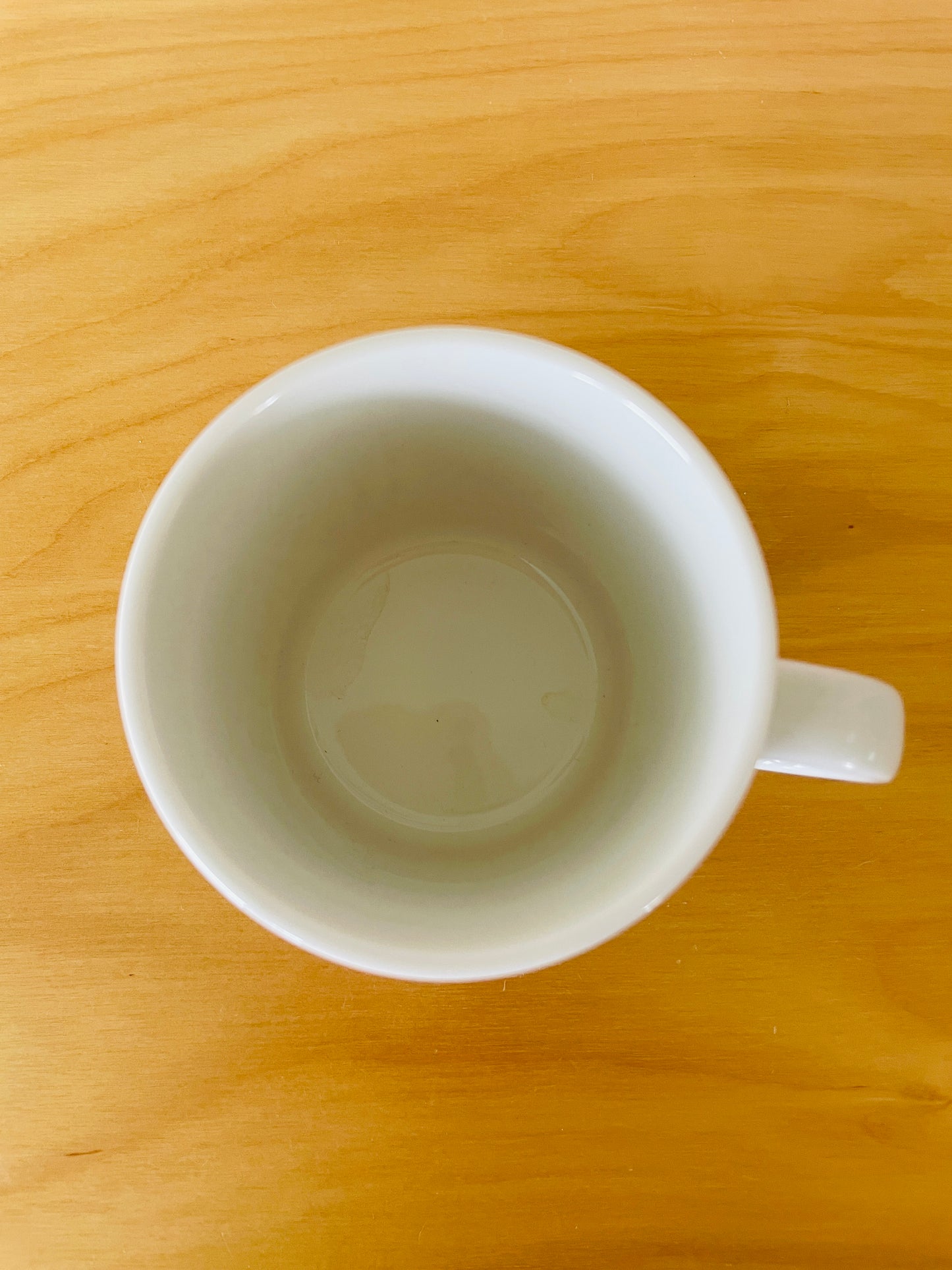 Arabia/アラビア/Moomin Mag/ムーミン/マグカップ/Special Produkt/Håll Vatten Rent/海をきれいに保とうキャンペーン