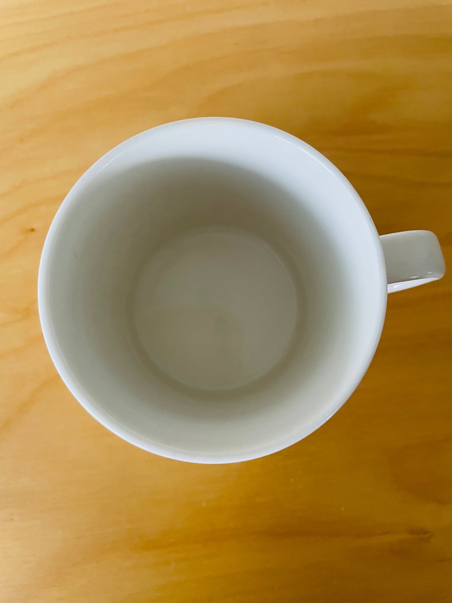 Arabia/アラビア/Teema/テーマ/Mug/マグカップ/Kaj Frank/カイ.フランク/イエロスター