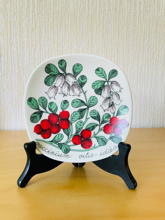 Arabia/アラビア/Botanica/ボタニカ/Vaccinium Vitis-idaea/リンゴンベリー