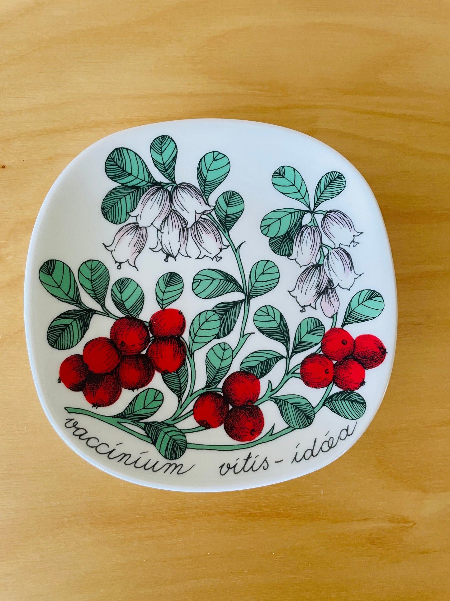 Arabia/アラビア/Botanica/ボタニカ/Vaccinium Vitis-idaea/リンゴンベリー