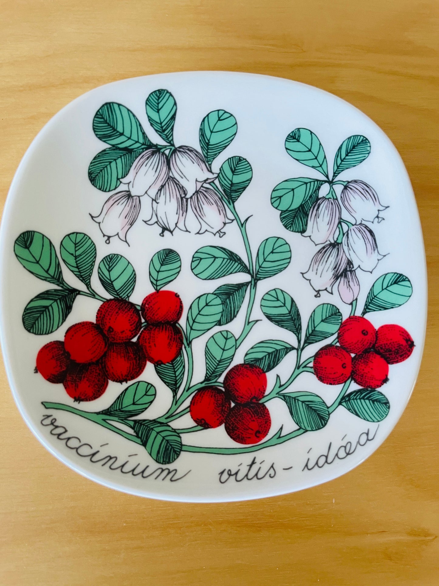 Arabia/アラビア/Botanica/ボタニカ/Vaccinium Vitis-idaea/リンゴンベリー