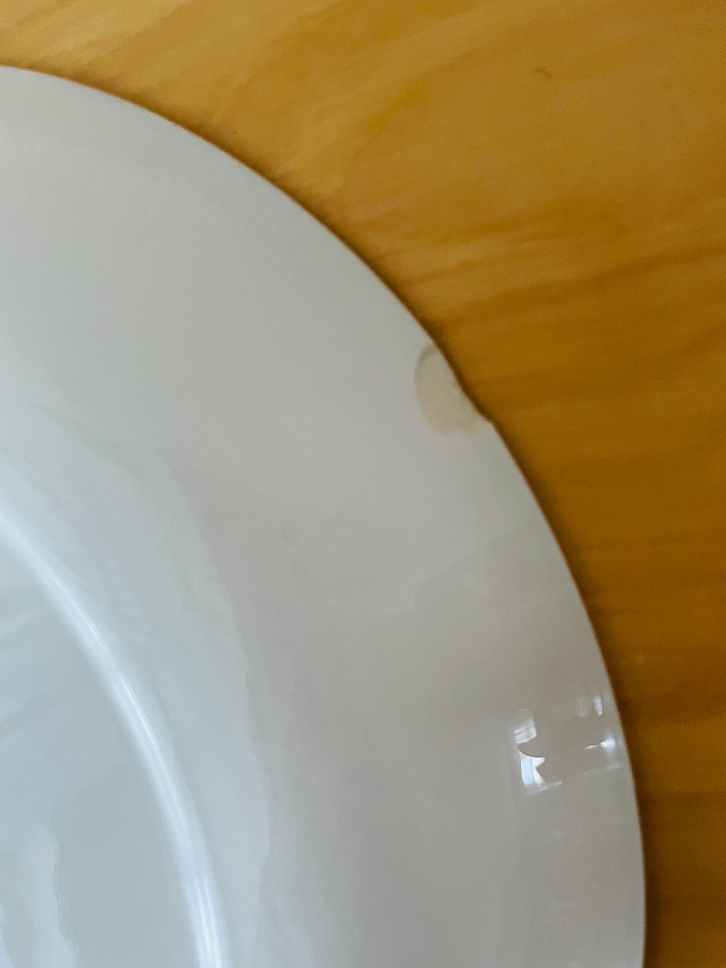 Arabia/アラビアIsokukka/イソクッカ/Esteri Tomula/エステリ.トムラ/プレート/26cm/訳あり