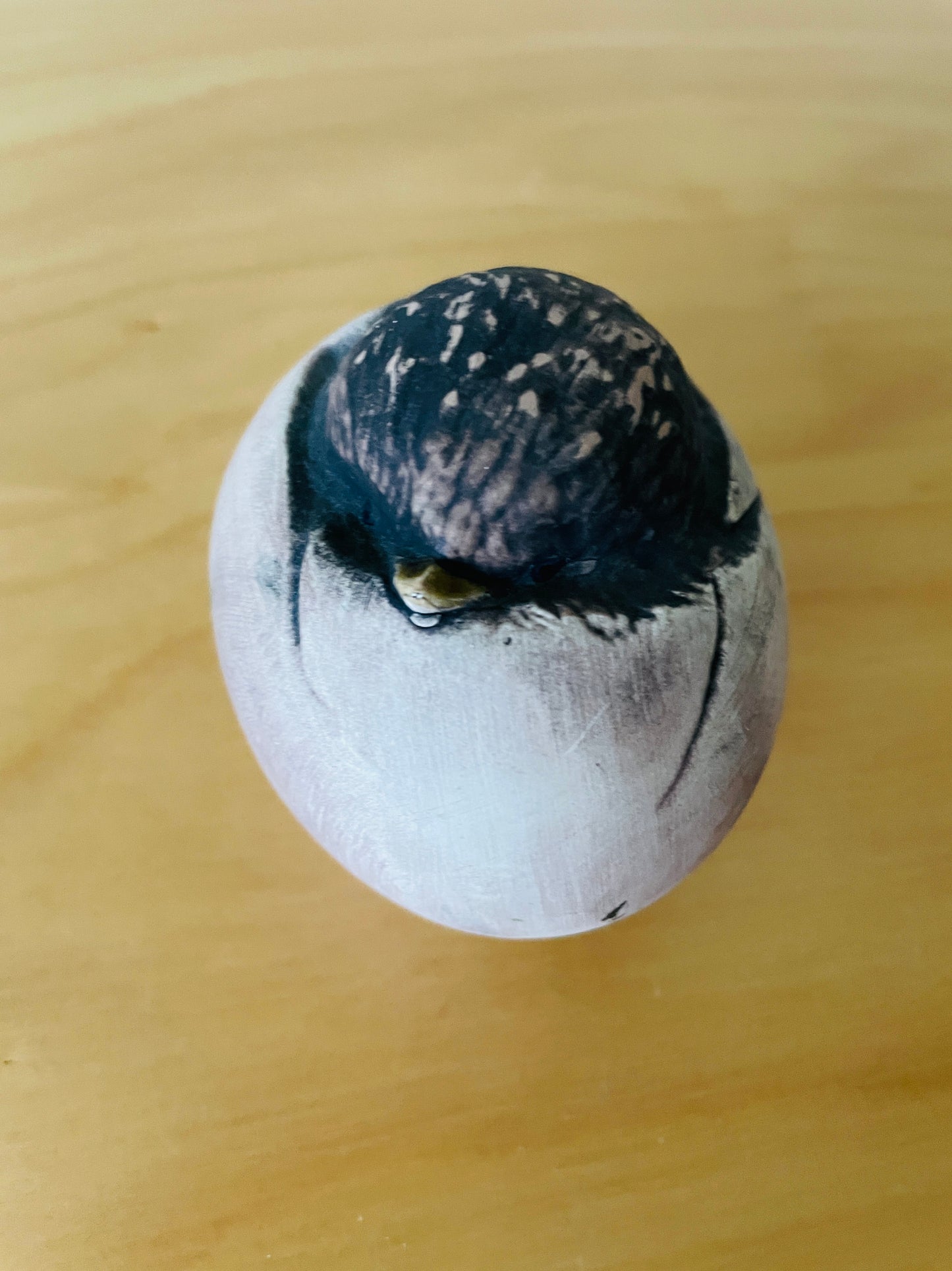 Jie Gantofta/Hannes Johansson/Chick, the Moment of Birth