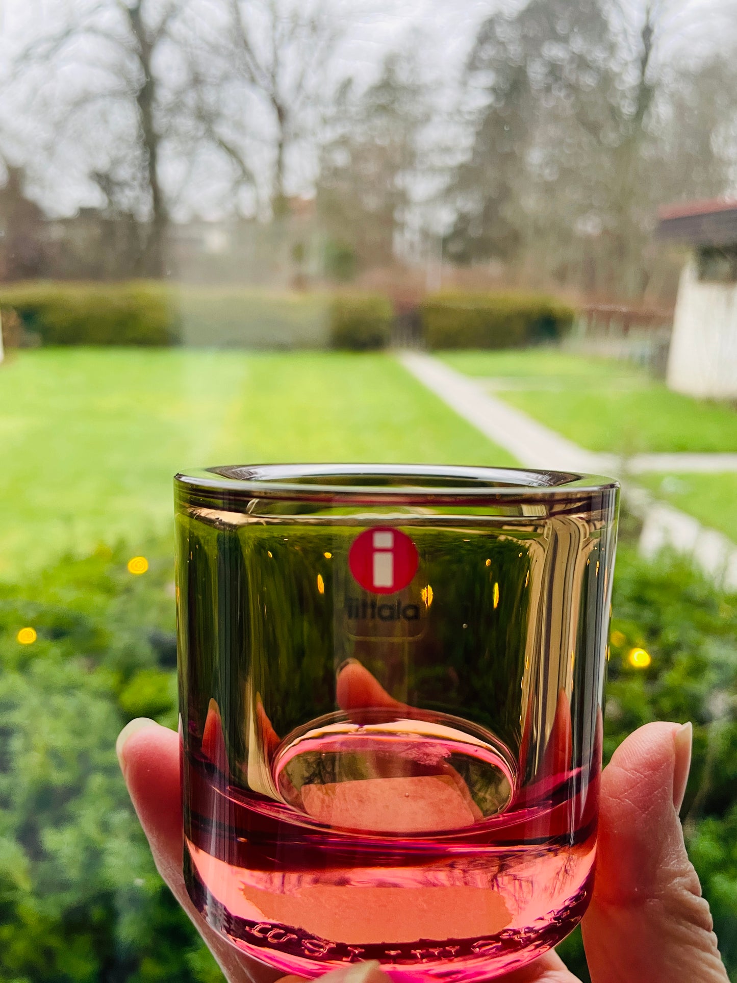 iittala/イッタラ/Kivi/キビ/キャンドルホルダー/ローズオリーブ
