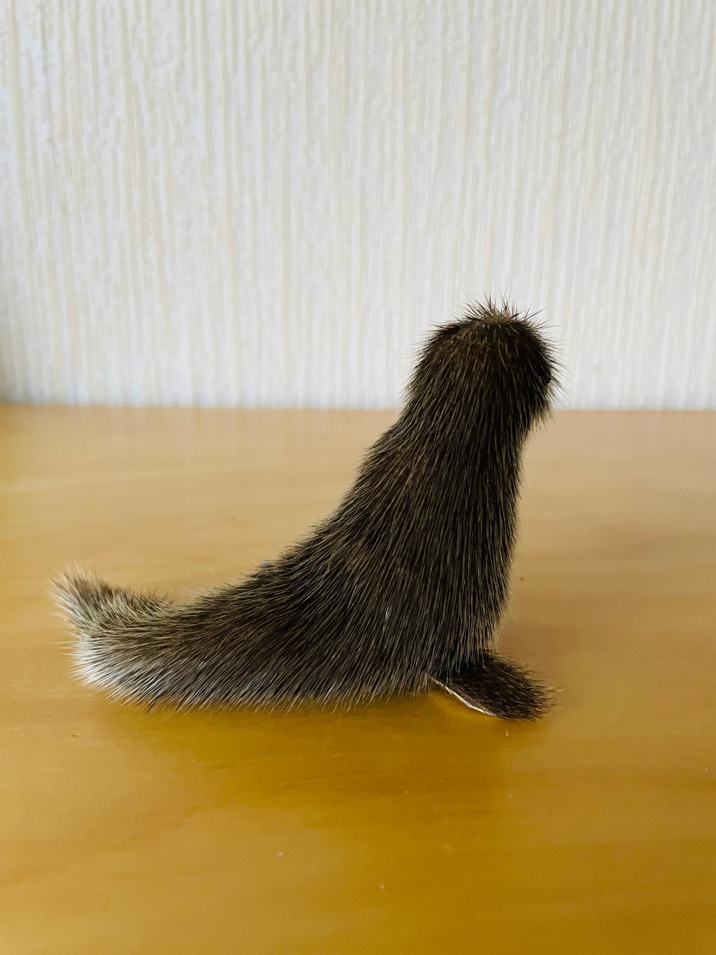 北欧ヴィンテージ雑貨/ノルウエー/アザラシのお父さん