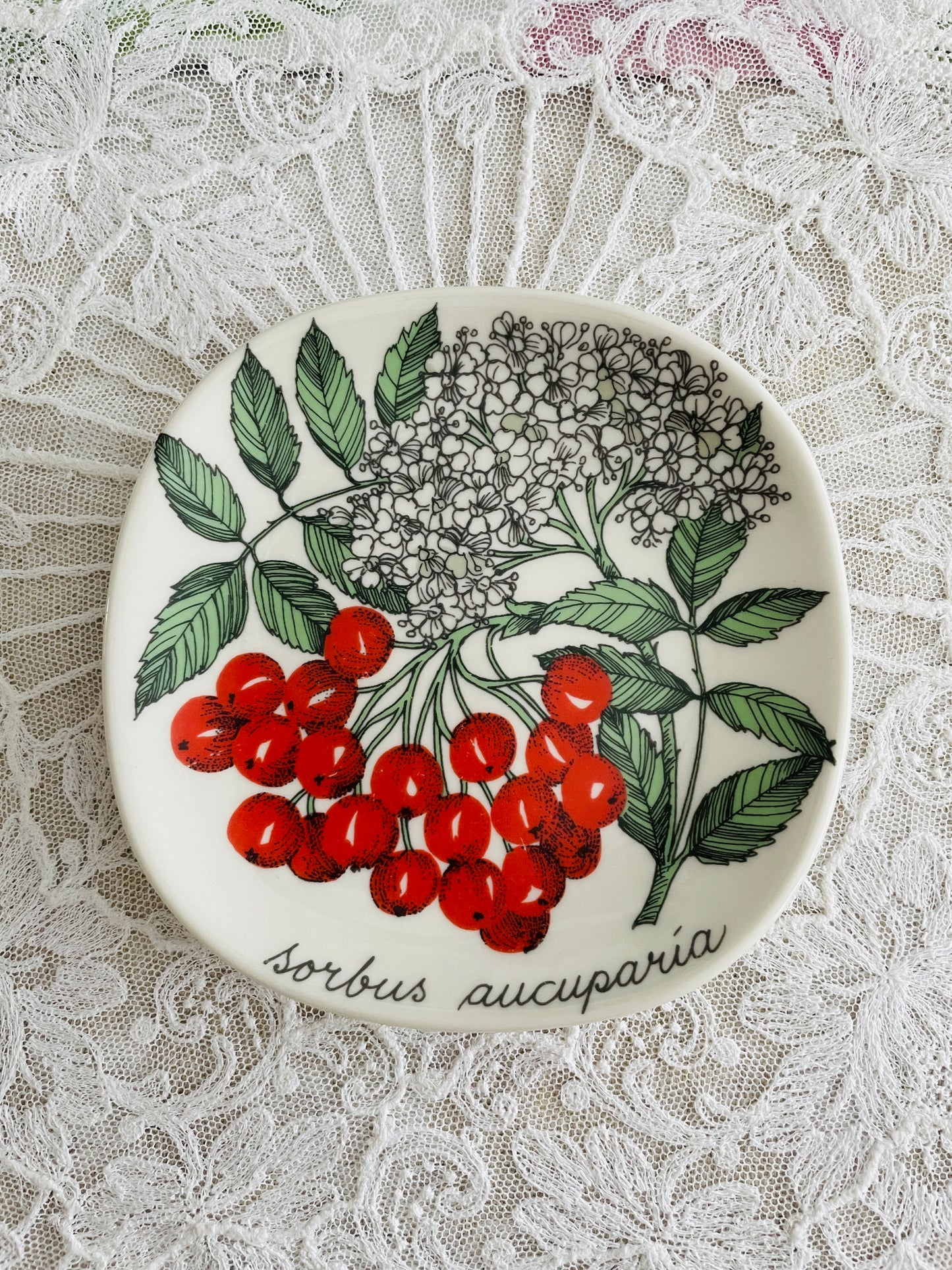 Arabia/Arabia/Botanica/Botanical series/Sorbus Aucuparia/Rowan berries
