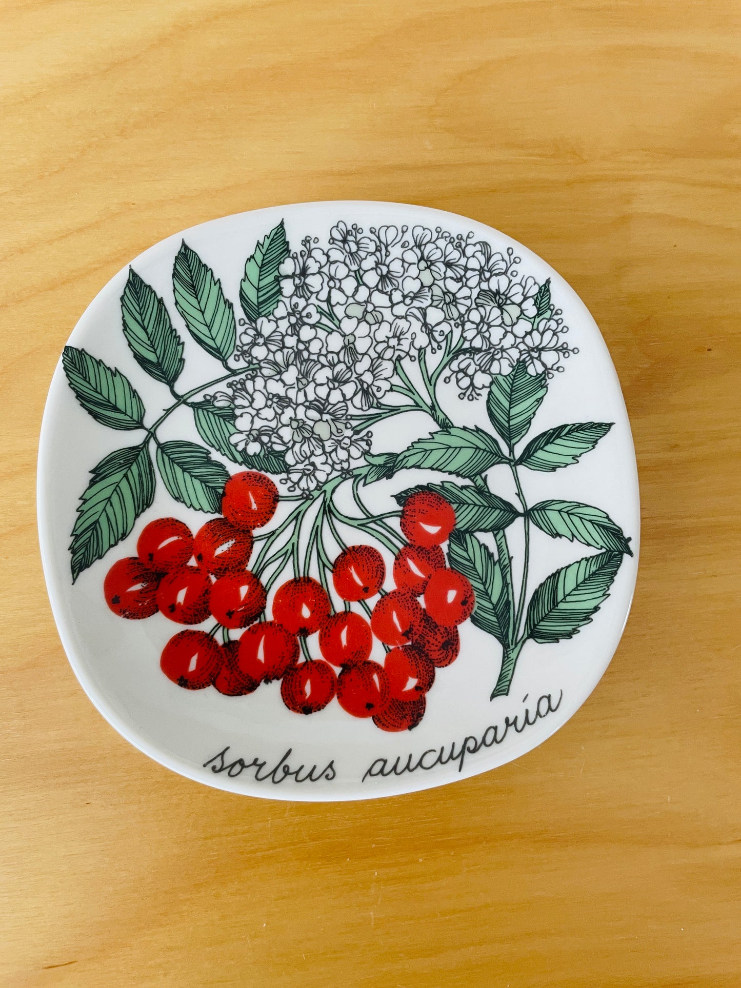 Arabia/Arabia/Botanica/Botanical series/Sorbus Aucuparia/Rowan berries