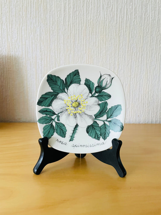 Arabia/アラビア/Esteri Tomula/エステリ.トムラ/ボタニカルシリーズ/ミニプレート/白バラ