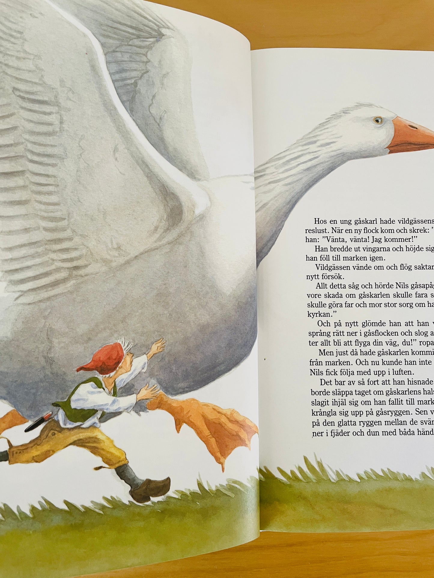 北欧ヴィンテージ絵本/Nils Holgerssons underbara resa genom Sverige/ニルスのふしぎな旅/セルマ.ローゲルーフ