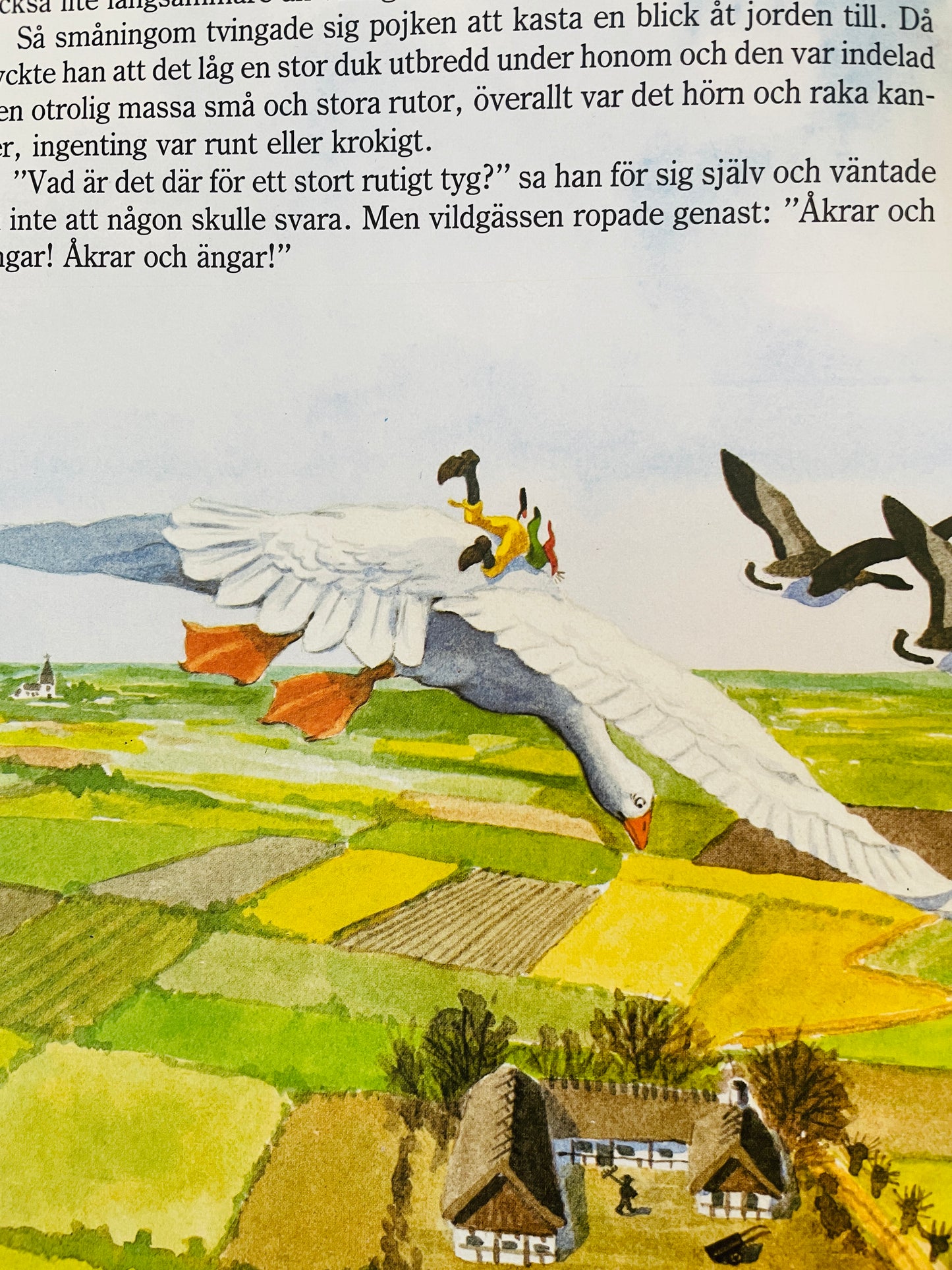 北欧ヴィンテージ絵本/Nils Holgerssons underbara resa genom Sverige/ニルスのふしぎな旅/セルマ.ローゲルーフ