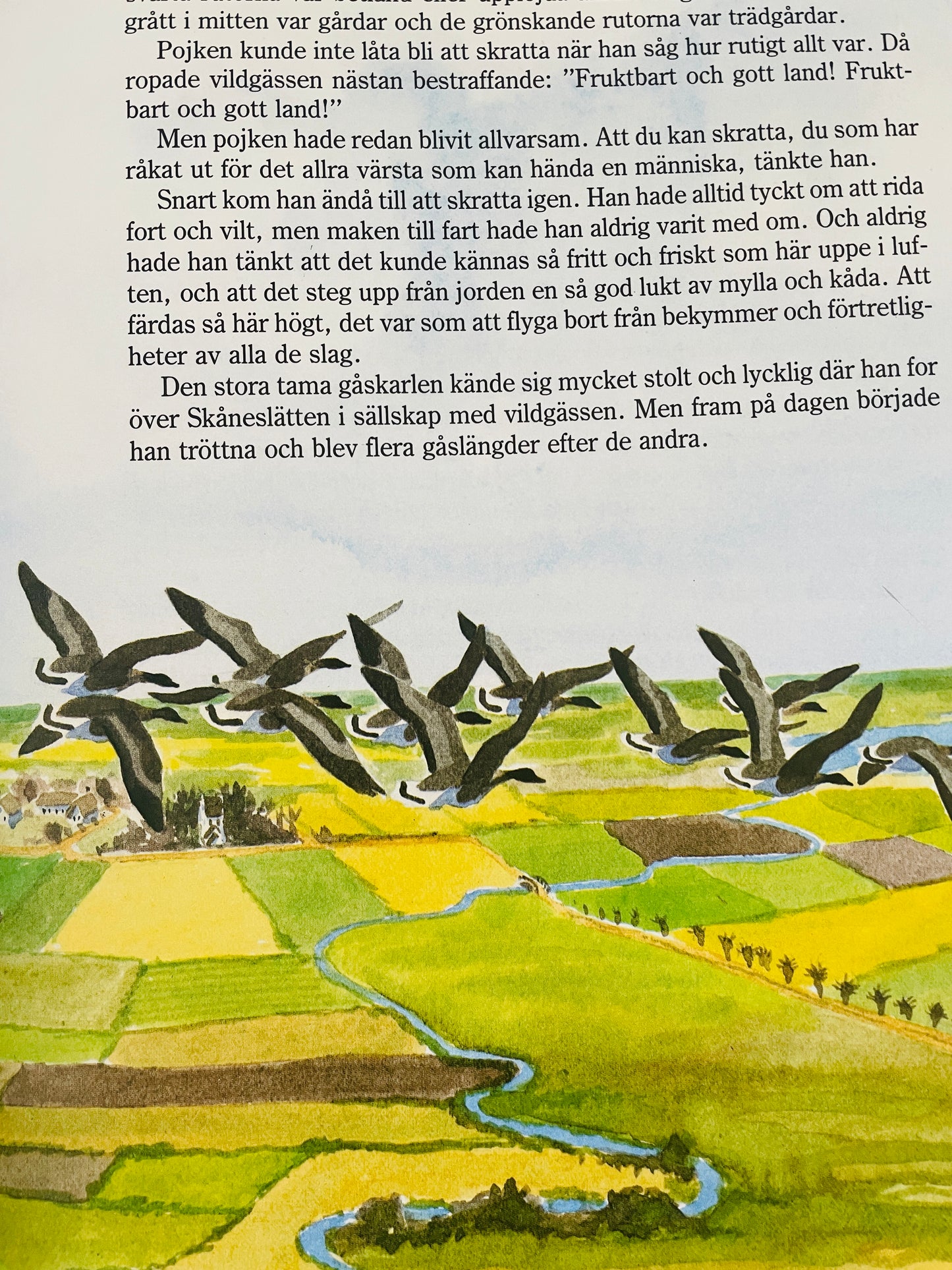 北欧ヴィンテージ絵本/Nils Holgerssons underbara resa genom Sverige/ニルスのふしぎな旅/セルマ.ローゲルーフ
