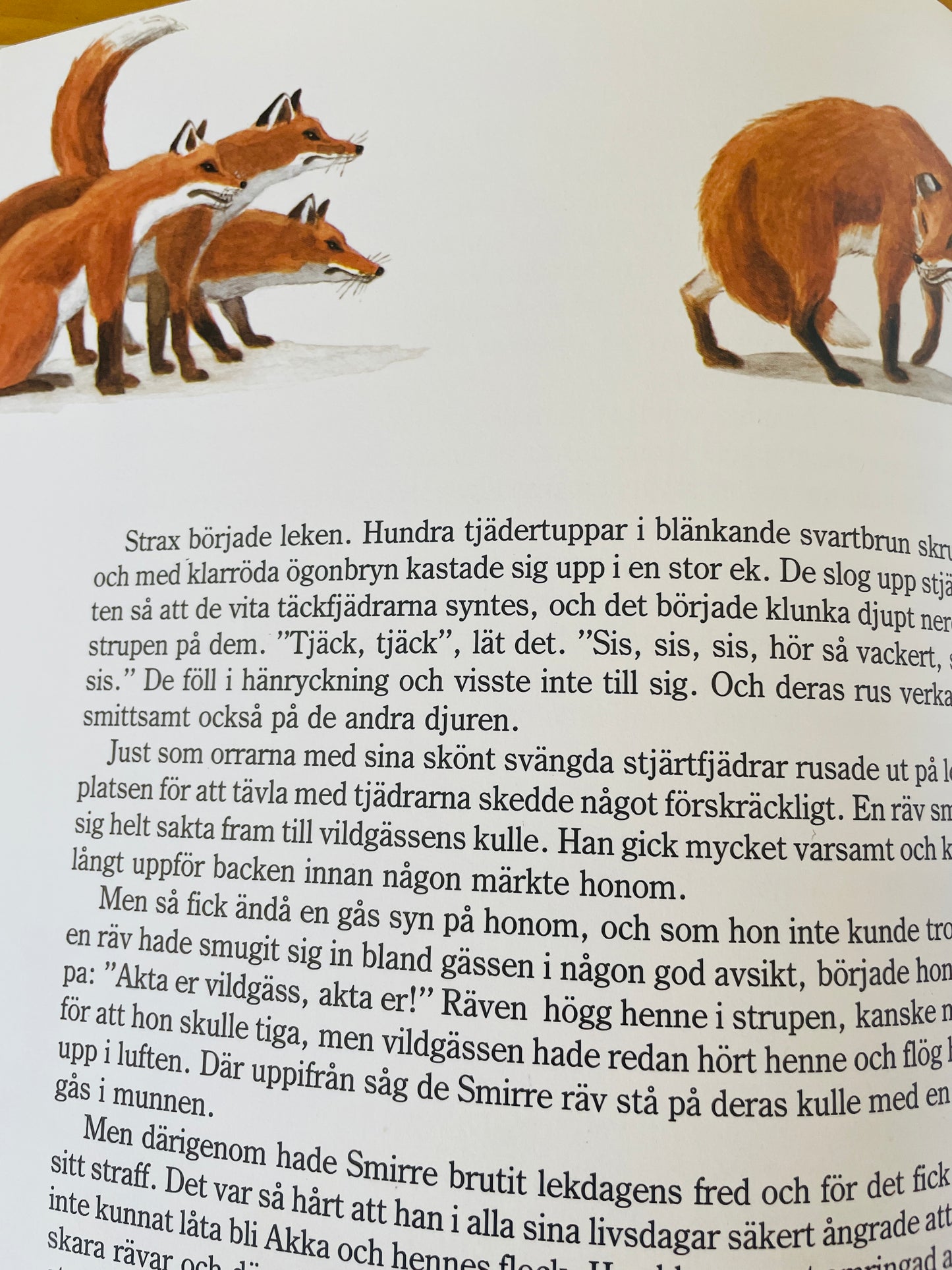 北欧ヴィンテージ絵本/Nils Holgerssons underbara resa genom Sverige/ニルスのふしぎな旅/セルマ.ローゲルーフ