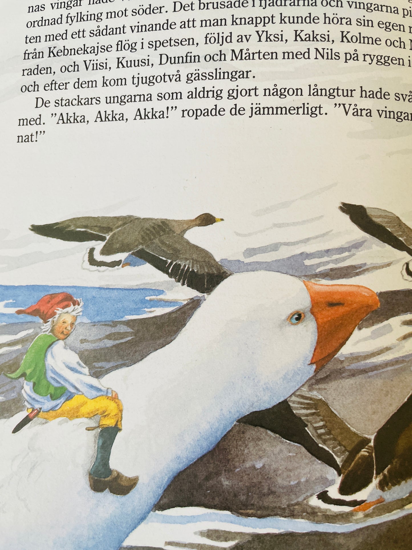 北欧ヴィンテージ絵本/Nils Holgerssons underbara resa genom Sverige/ニルスのふしぎな旅/セルマ.ローゲルーフ