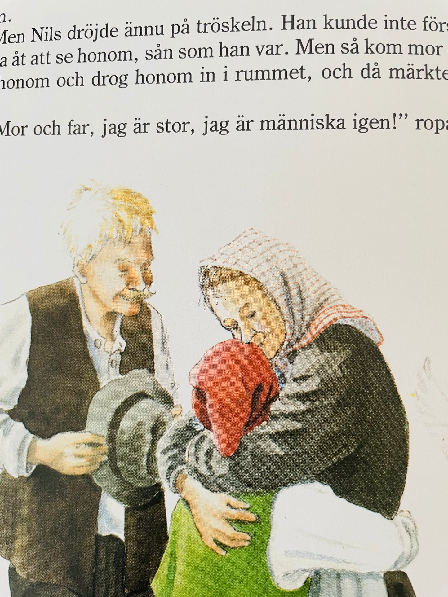 北欧ヴィンテージ絵本/Nils Holgerssons underbara resa genom Sverige/ニルスのふしぎな旅/セルマ.ローゲルーフ