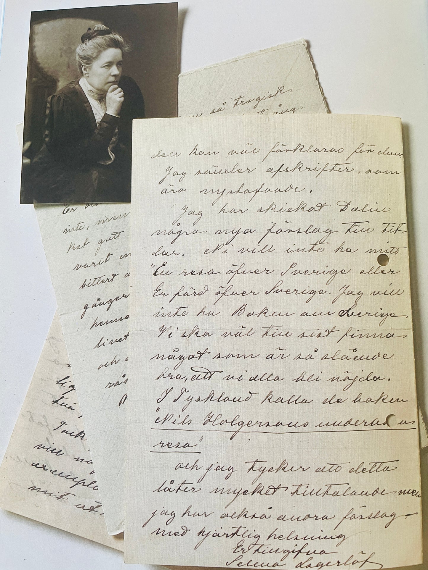 北欧ヴィンテージ絵本/Nils Holgerssons underbara resa genom Sverige/ニルスのふしぎな旅/セルマ.ローゲルーフ