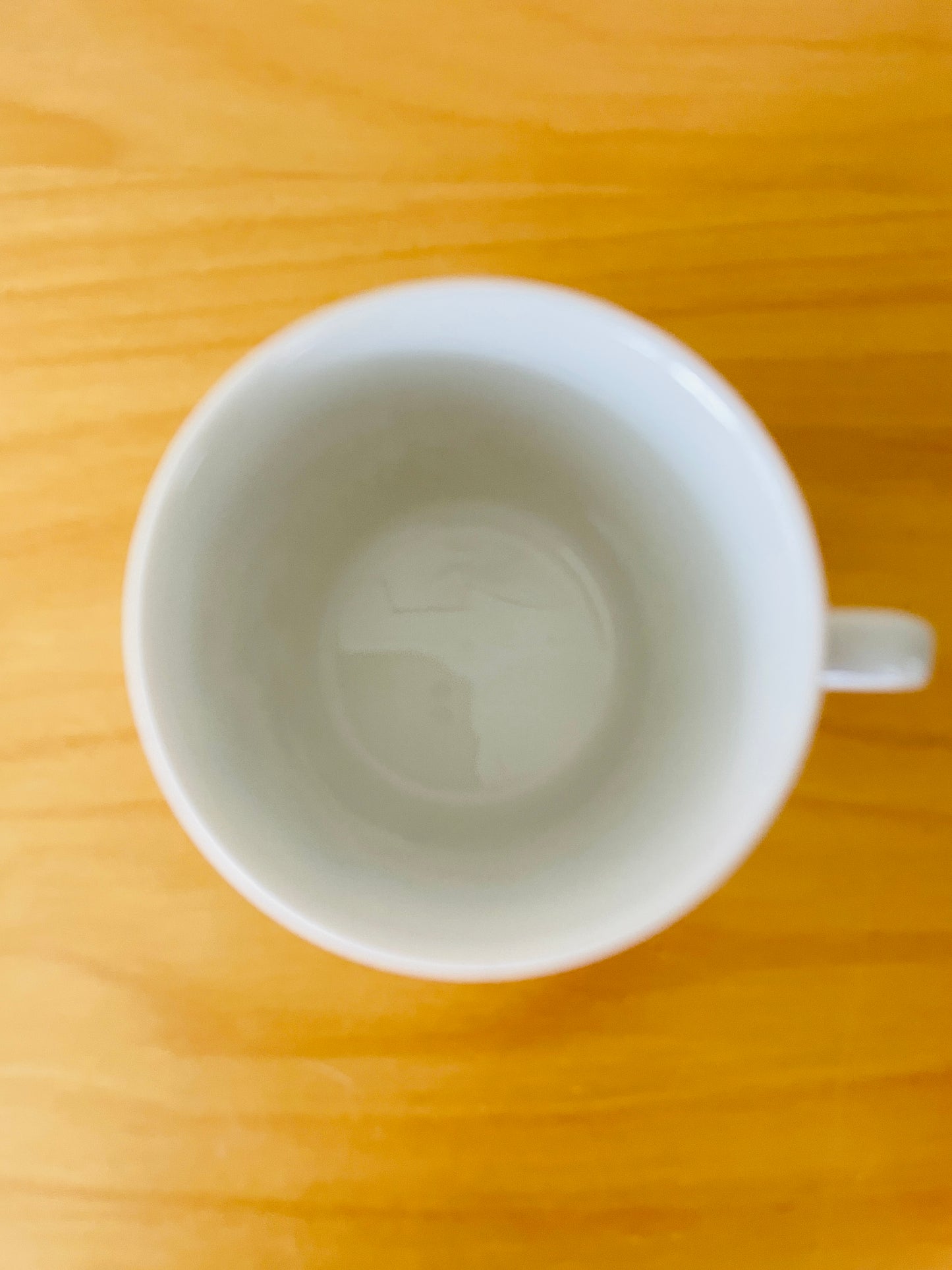 Rörstrand/ロールストランド/Nyponros/ニッポンローズ/カップ&ソーサー