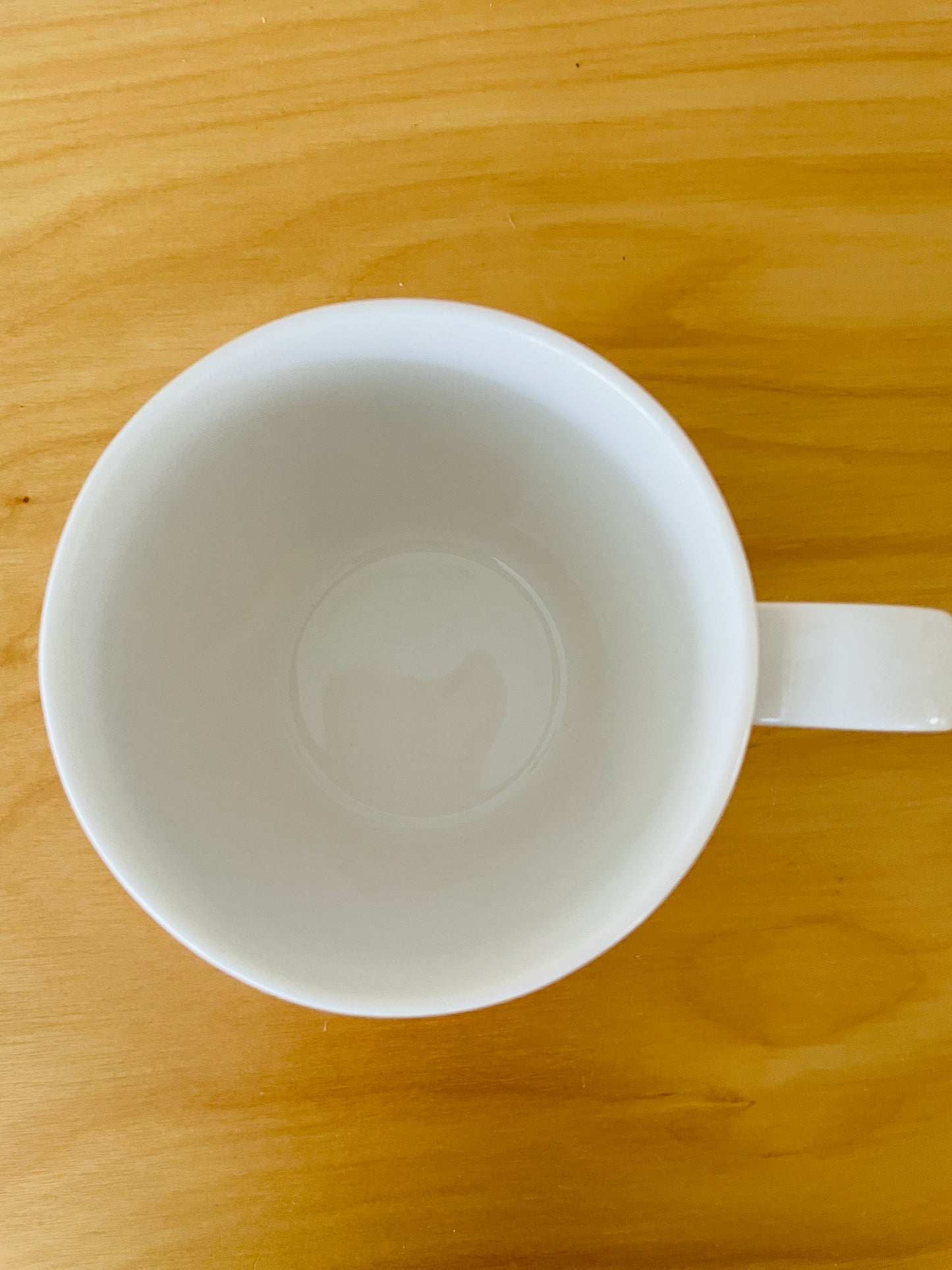 iittala x Marimekko/イッタラxマリメッコ/Primavera/プリマヴェーラ/マグカップ/レッド