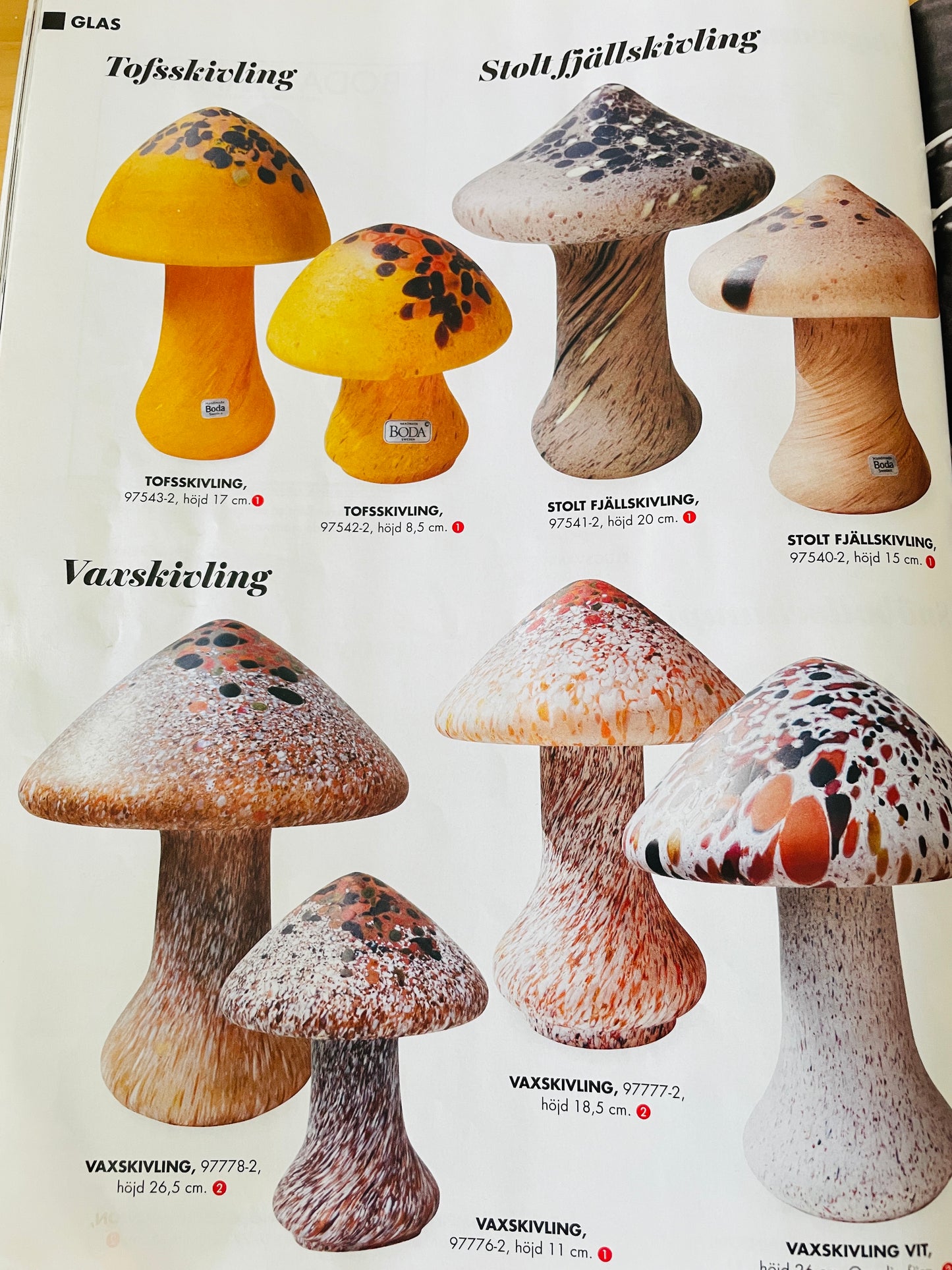 Boda/Monica Backström/Tofsskivling/センボニチメガサ