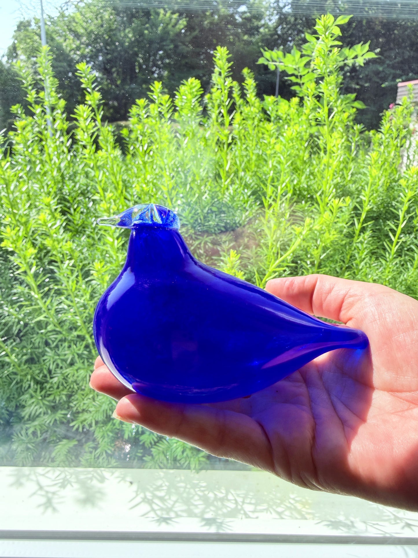 iittala/イッタラ/Nuutajälvi/ヌータヤルヴィ/Oiva Toikka/オイバ.トイッカ/Birds/バード/Little Turn/リトルターン/コバルトブルー