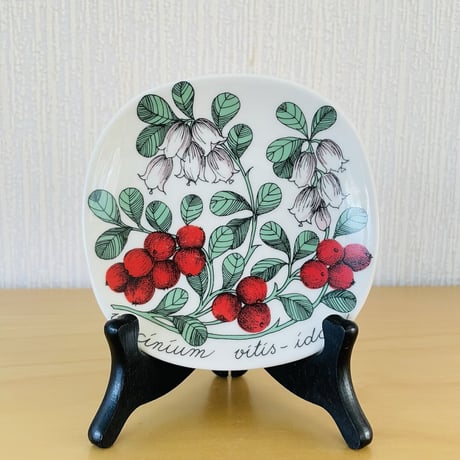 Arabia/アラビア/Botanica/ボタニカ/Vaccinium Vitis-idaea/リンゴンベリー